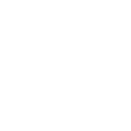 WhatsApp Icon